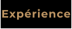 Expérience